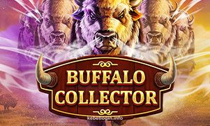 Imagem do jogo Buffalo Collector no kebet